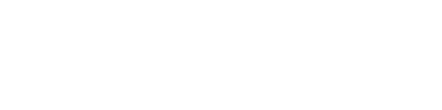 Duet Electronics Logo